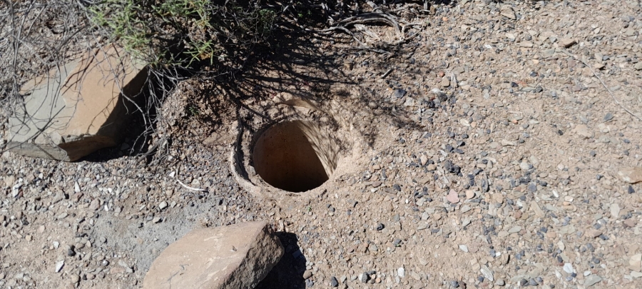 Commercial Property for Sale in Montagu Rural Western Cape